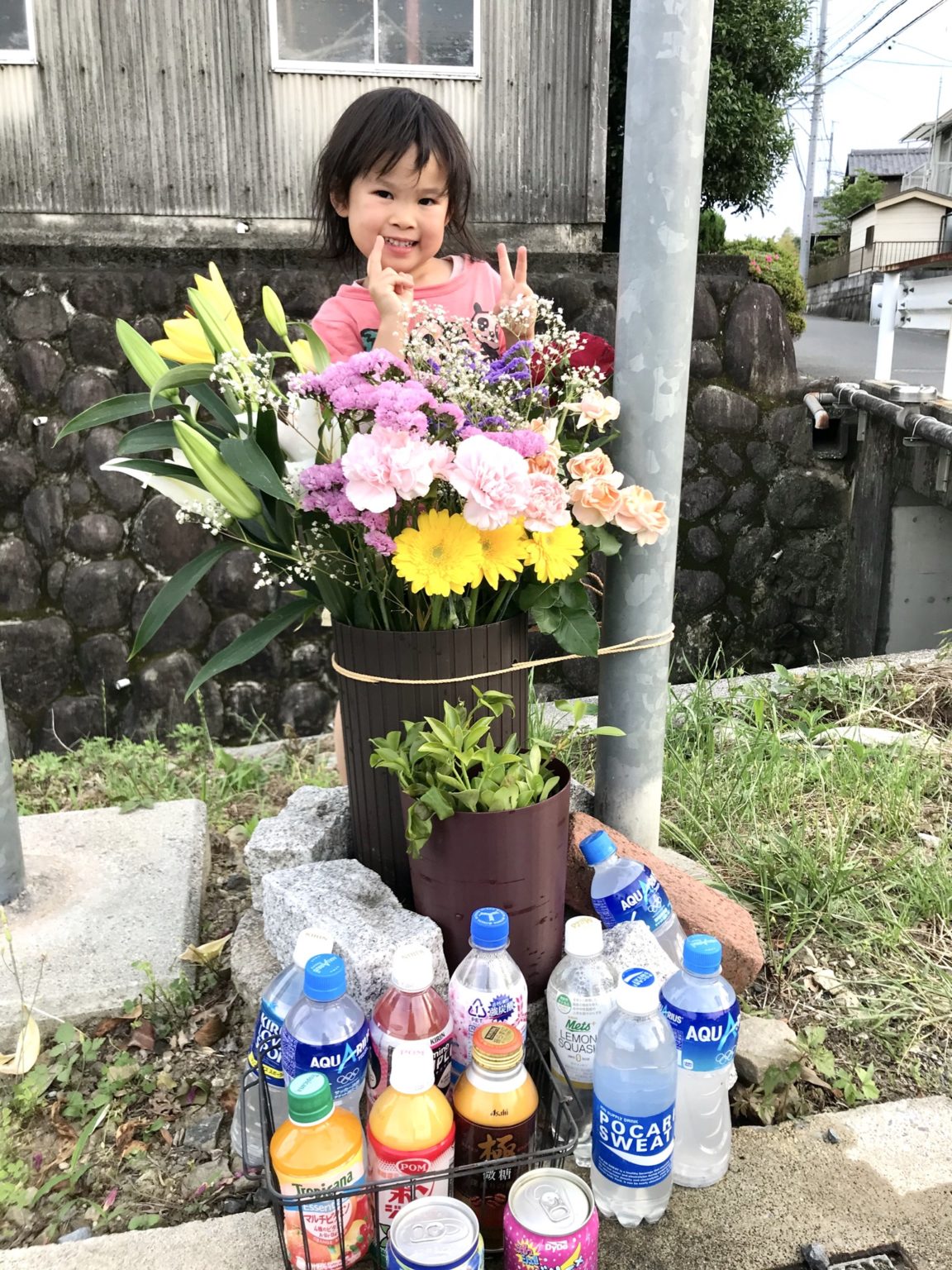 チョウバエ問題の続き こばちちブログ